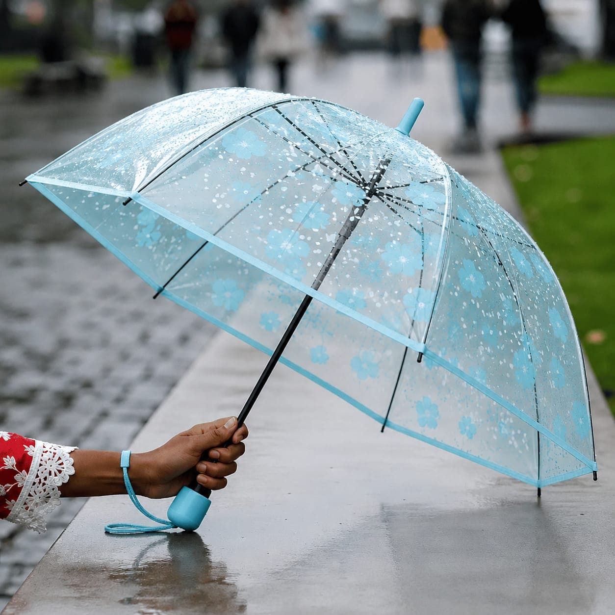 Floral Clear Transparent Umbrella (Blue)