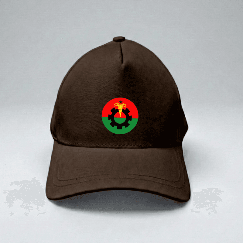 Election Campaign Premium Cap