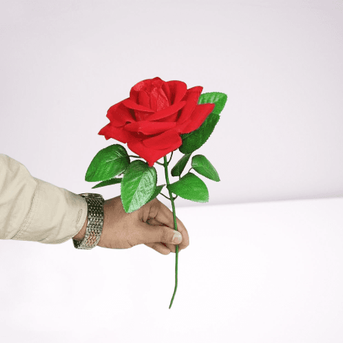 valentine's day  Gift Rose Flower